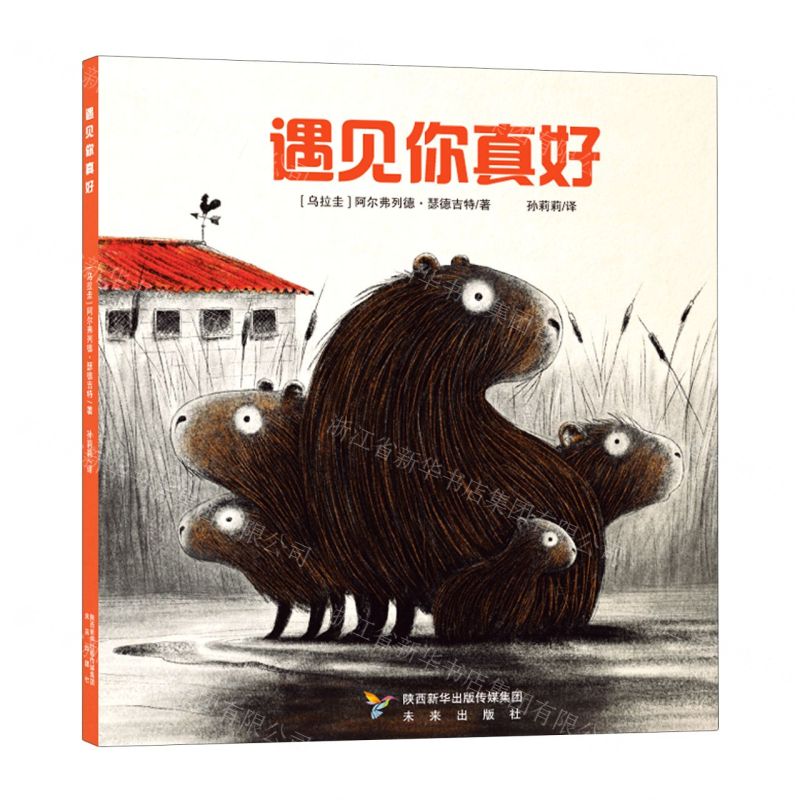 【N】遇见你真好(精)-9787541771279