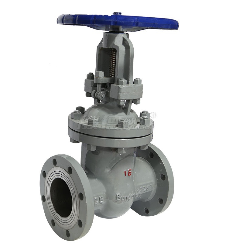 般德 法兰式铸钢闸阀高清大图