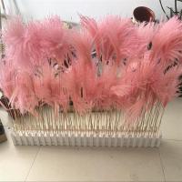 芦苇干花花束麦穗干花仿真花田园装饰ins拍照道具稻穗真花