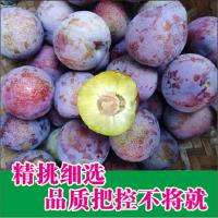 四川樱桃脆李子脱骨李当季新鲜水果孕妇果5斤装余氏金元元