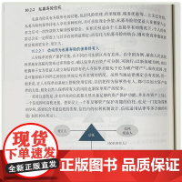 国际寿险架构理论与实践 LICA国际寿险架构师协会 复旦大学出版社 保险-教材
