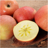 [苏鲜生]顺丰快递新疆阿克苏冰糖心苹果5斤特大果[单果85-90mm]净重4.7-5.3斤]礼盒
