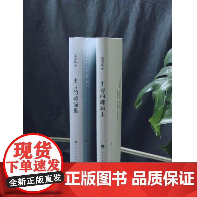 史诗的罅漏里(茅盾文学奖得主、著名作家王安忆新作。写给喜欢的文字和写作人。)9787553527949 上海文化出版社高清大图