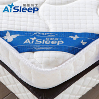 睡眠博士(AiSleep) 护脊3E椰棕软硬两用床垫 简约风条纹/格子四季可用床垫 厚10CM