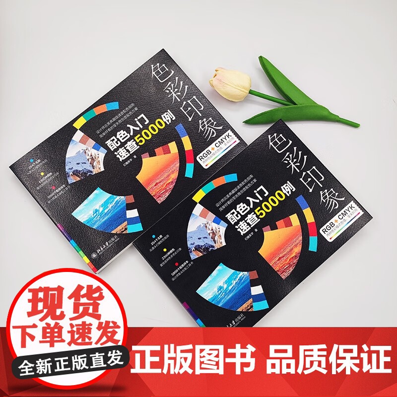 色彩印象 配色入门速查5000例 红糖美学 著 计算机与互联网高清大图