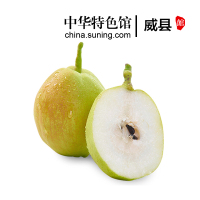 [中华特色]威县馆 威梨新梨七号 当季新鲜新梨 个大饱满 脆甜爽口 新鲜水果梨子约2.5斤 单果约3两 华北