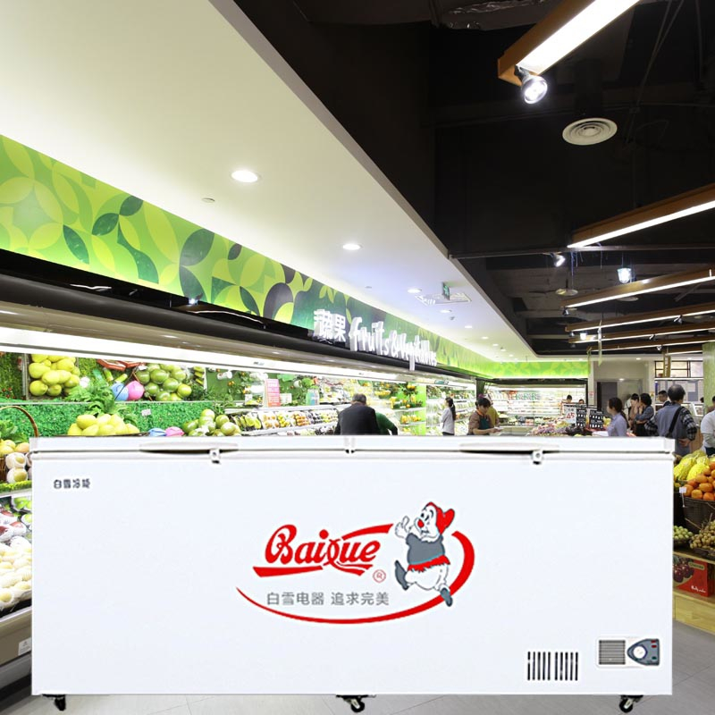 白雪(Baixue)830升BD/C-830FDS大型商用冷柜 大冰柜 茶叶柜 海鲜柜