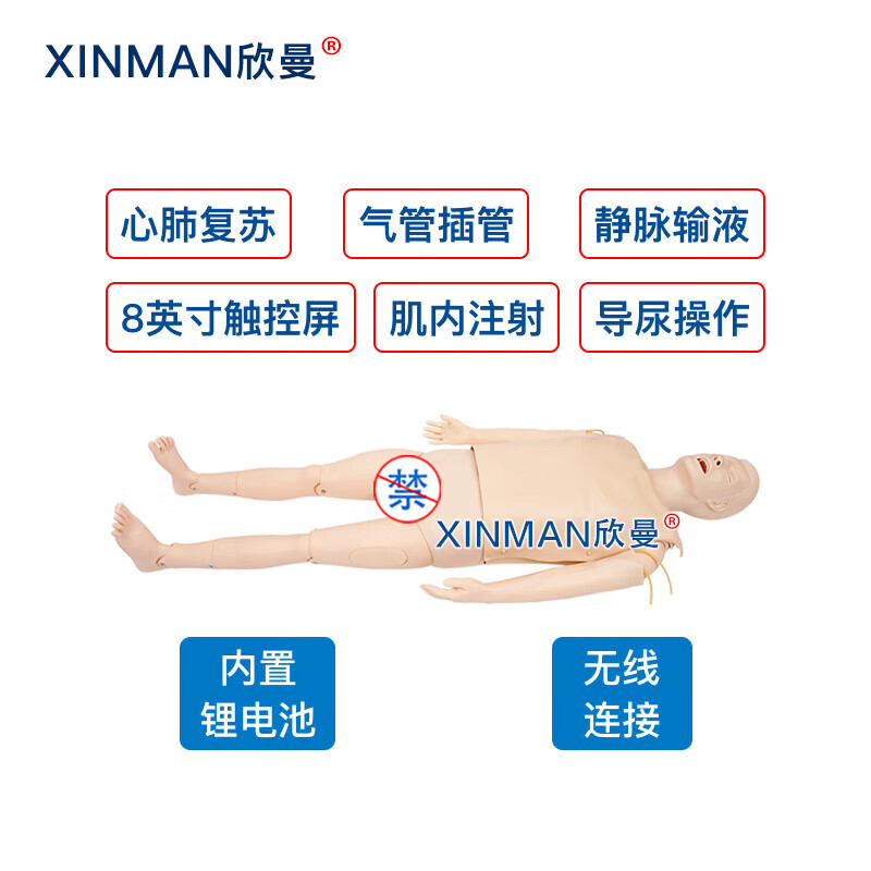 欣曼科教 高级多功能心肺复苏急救与气管插管模拟人 进一步生命支持训练模拟人 无线版XM-ALS799A高清大图