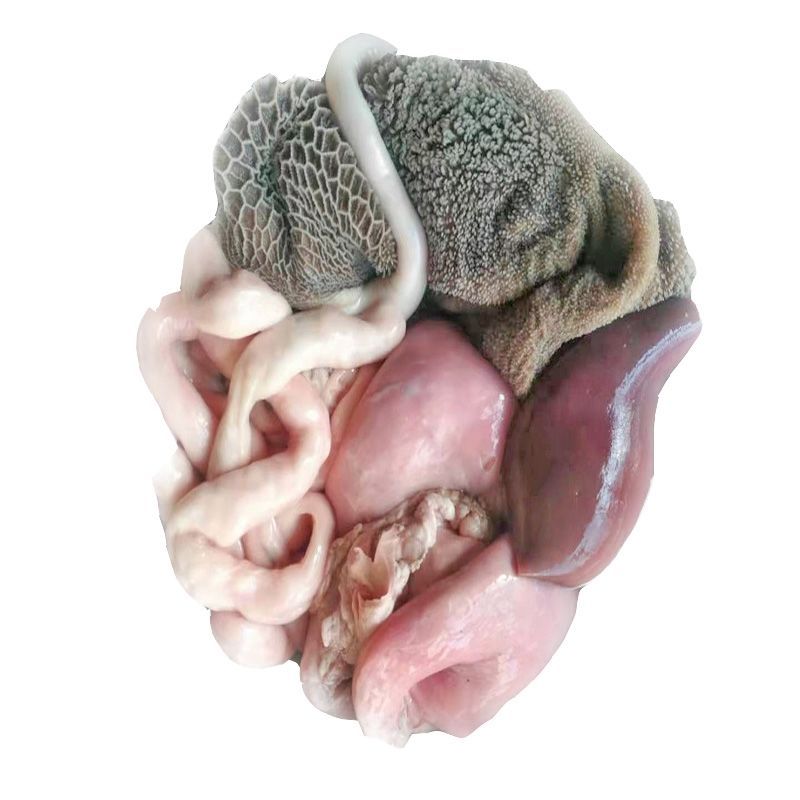 赛卡伊新鲜羊杂生羊肚羊肝羊肺羊肠羊下水整套4斤羊肺送卤料送羊油