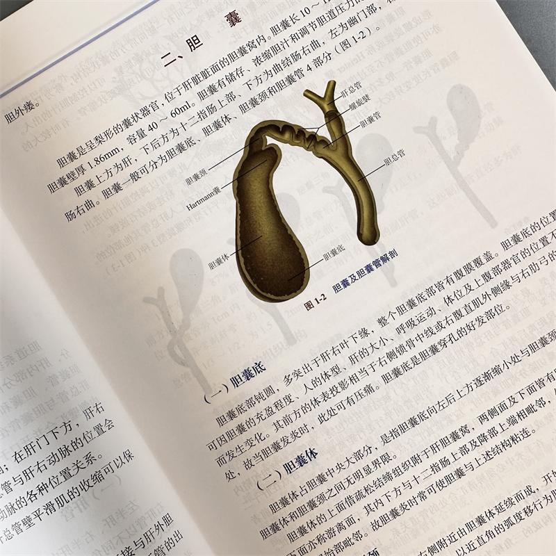[正版]胆胰疾病ERCP诊断与治疗 周文策,李汛 编 内科学疾病诊治资料图书 医学类书籍 科学出版高清大图