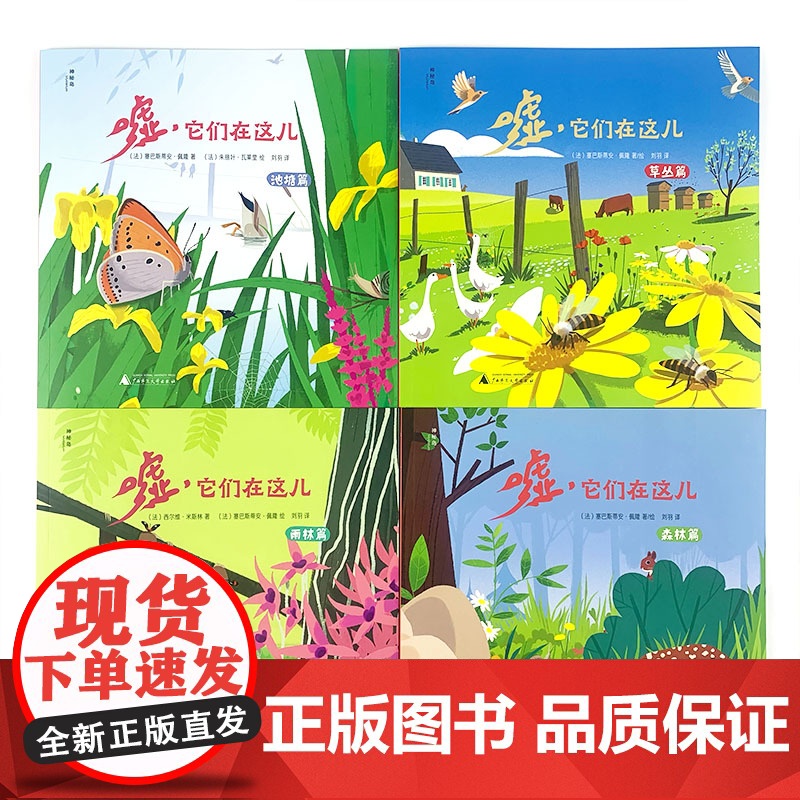 嘘,它们在这儿:雨林篇高清大图