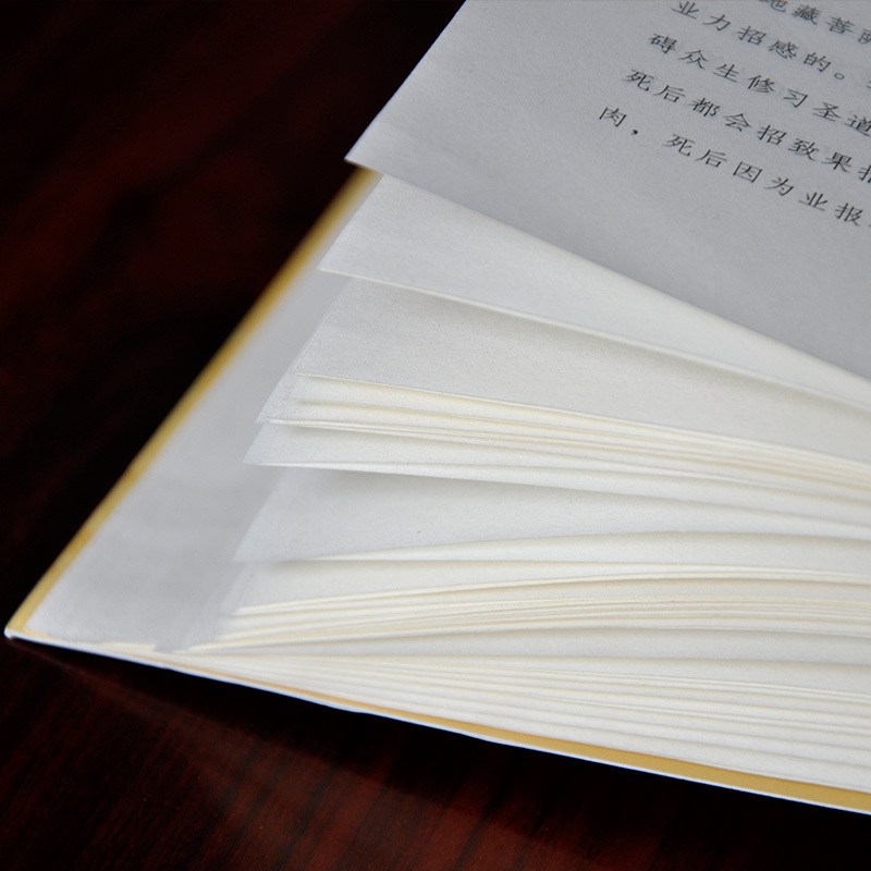 地藏经 药师经 正版佛经书籍 地藏菩萨本愿经上中下三卷十三品 药师琉璃光如来本愿功德经大乘佛教经典 原文注释译文 家藏文