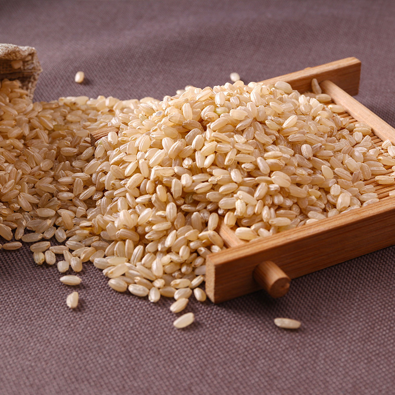燕之坊有机糙米450g 五谷杂粮糙米饭粗粮粮油主食沙拉