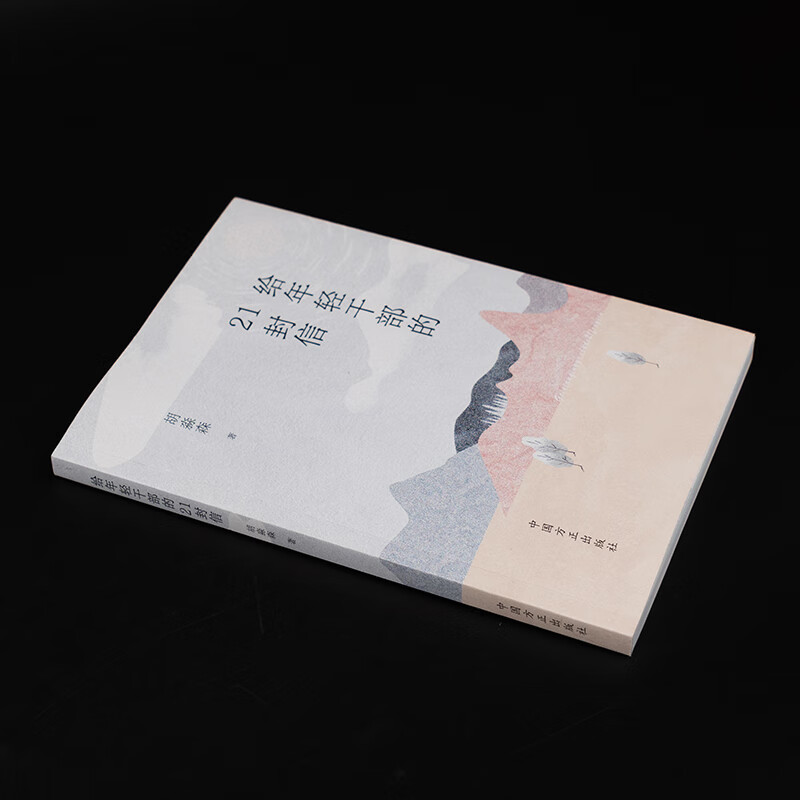 给年轻干部的21封信 胡淼森 中国方正出版社 党风廉政纪检监察清廉图书读物 给年轻干部提个醒廉洁教育案例读本廉洁书籍