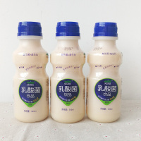荷润 乳酸菌饮品 340ml 12瓶装 早餐奶原味饮料 聚会酒席饮品