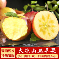 [西沛生鲜]四川 凉山盐源丑苹果 净重9斤 中果 箱装 当季 新鲜水果