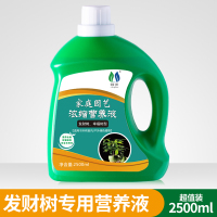 营养液植物通用型花肥家用盆栽发财树富贵竹绿萝水培花卉绿植肥营 发财树专用营养液2500ml*1瓶