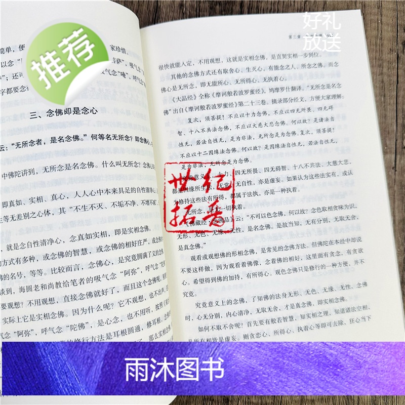 正版 道信禅学法要 释仁炟编著 宗教文化出版社217页高清大图