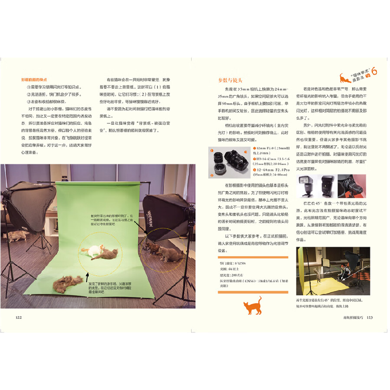 正版新书]喵,看我猫猫拳!我拍的猫咪也可以这么萌(摄影客出品)高清大图