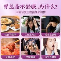 北京同仁堂丁香猴头菇沙棘茶