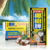 椰树椰汁正宗椰树牌椰子汁饮料 1L*12盒/箱椰奶海南特产
