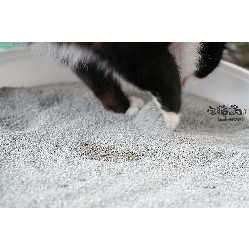 宅猫酱 Cat Magic膨润土猫砂 无香型 消臭结团厕所砂 21磅