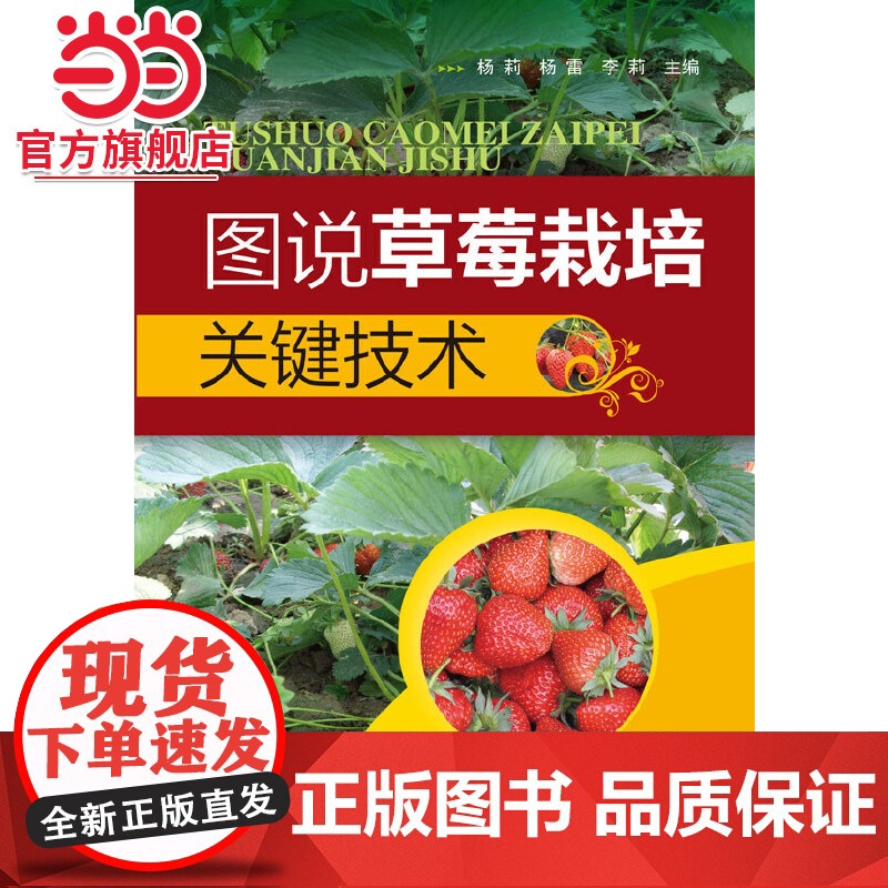 图说草莓栽培关键技术高清大图