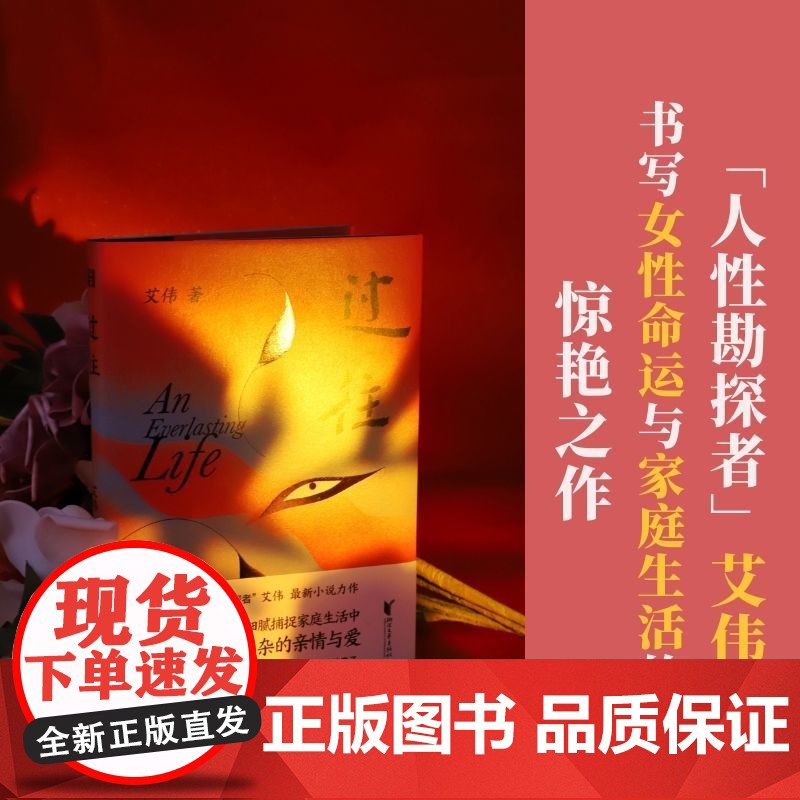 过往 艾伟第八届鲁迅文学奖获奖作品 一个另类母亲的感人故事 何赛飞袁文康主演电影追月原著小说当代文学散文小说书籍正版高清大图