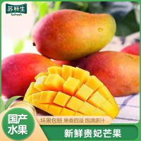 [苏鲜生]精选海南贵妃芒 净重4.5斤 中果 单果100-150g 当季新鲜水果 热带水果