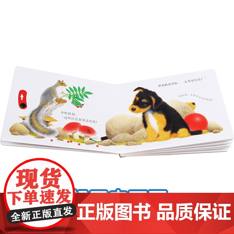 动物朋友手指推拉书 共3册 忙碌的小兔 好奇的小猫 调皮的小狗 阿曼达伍德 著 幼儿启蒙高清大图