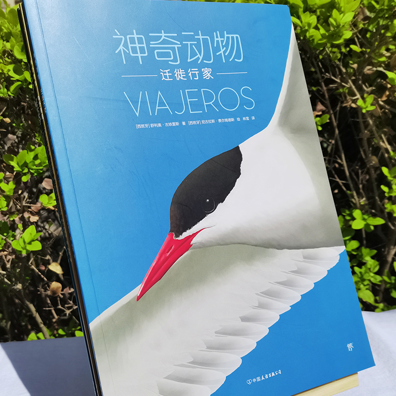醉染图书动物(全6册)9787505750166高清大图