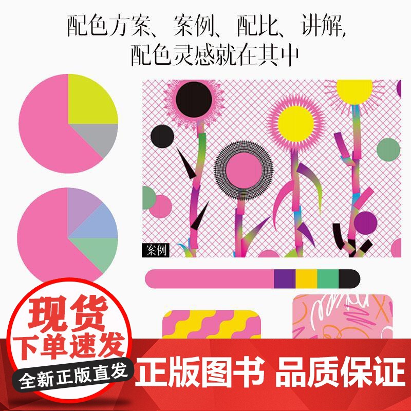 [央视网]配色方案速查大全 色彩设计书配色手册 包含1691种配色方案RD 259个设计案例和照片 665个设计图案高清大图