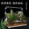 金晶水陆缸水陆鱼缸 植物造景缸 微景观斜口缸 乌龟缸超白缸