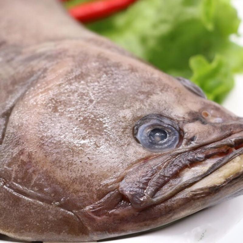 赛卡伊碟鱼白鲽鱼二去碟鱼新鲜海鲜鲜活水产海鲜鱼新鲜大鲽鱼一斤试吃