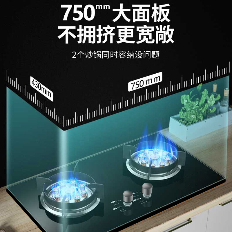 尊威燃煤气双灶猛火大火力750大面板大尺寸650*350-700*400大开孔全包底壳|5.2KWB002-A(液化气)高清大图