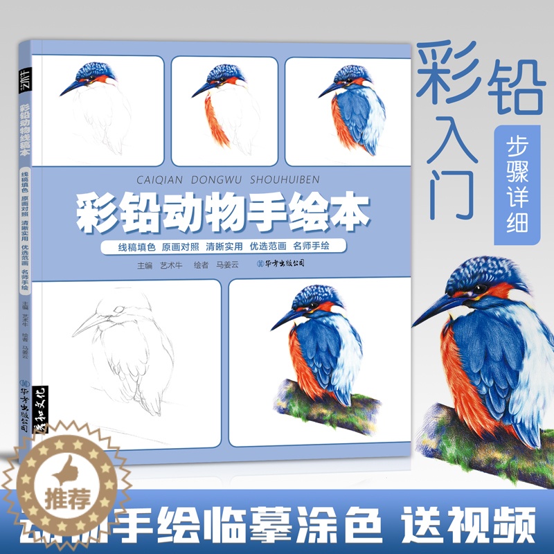 [醉染正版]彩铅动物手绘本成人治愈减压彩色画入门教程书线稿填色上色绘画书籍零基础儿童画册临摹涂色涂鸦美术初学临摹底稿素材高清大图