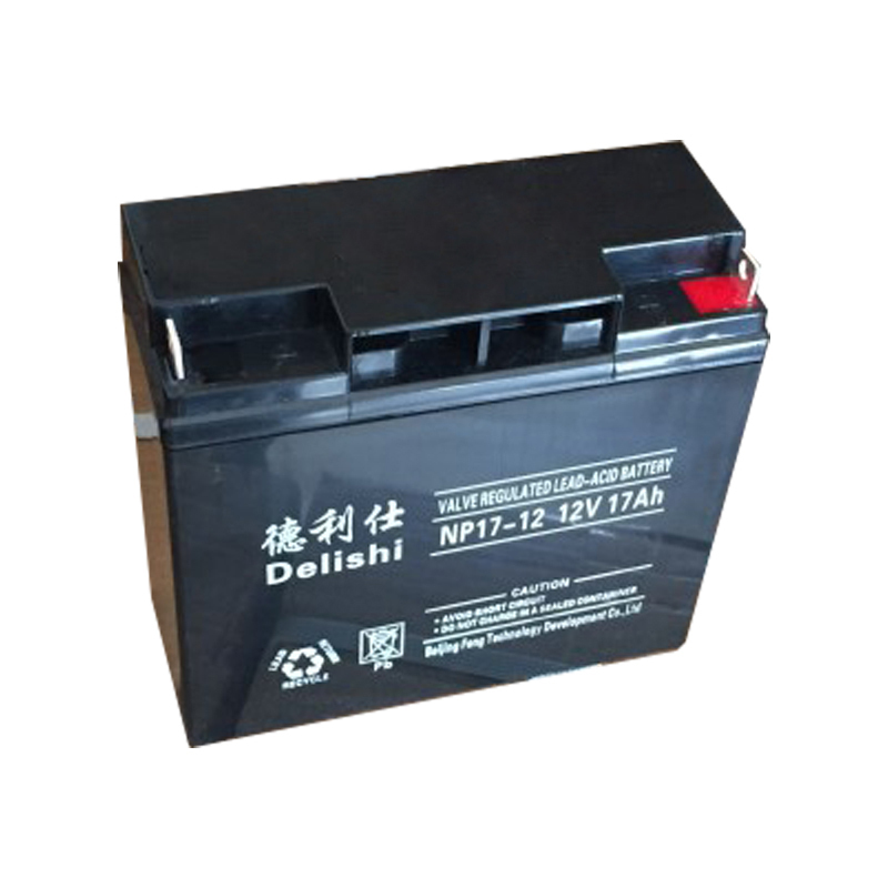 德利仕蓄电池NP17-12 12V 17AH
