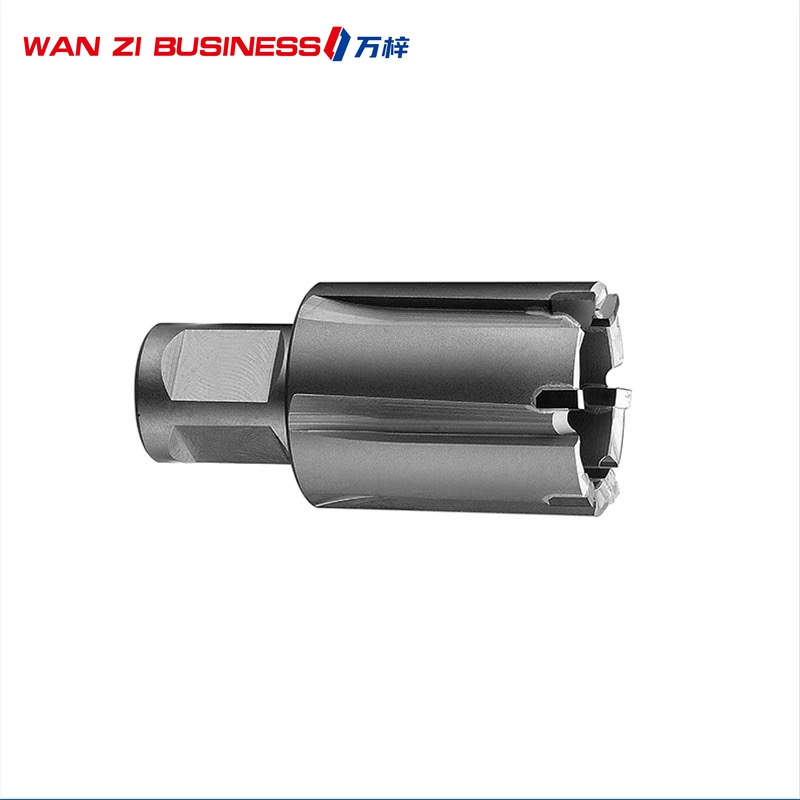 万梓 硬质合金多刃钻头 31*25*63*18 支高清大图