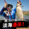 光威智影霸道大导环矶钓竿超轻超硬5号矶竿手海两用3号碳素海竿杆