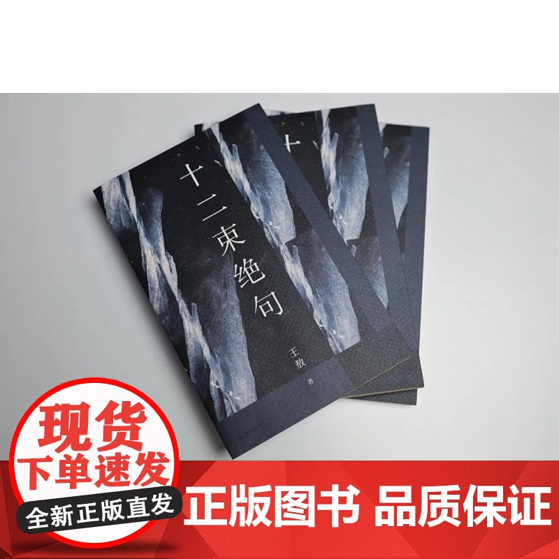 十二束绝句 王敖诗集纯绝句集中国当代文学作品上海文艺出版社另著绝句与传奇诗高清大图