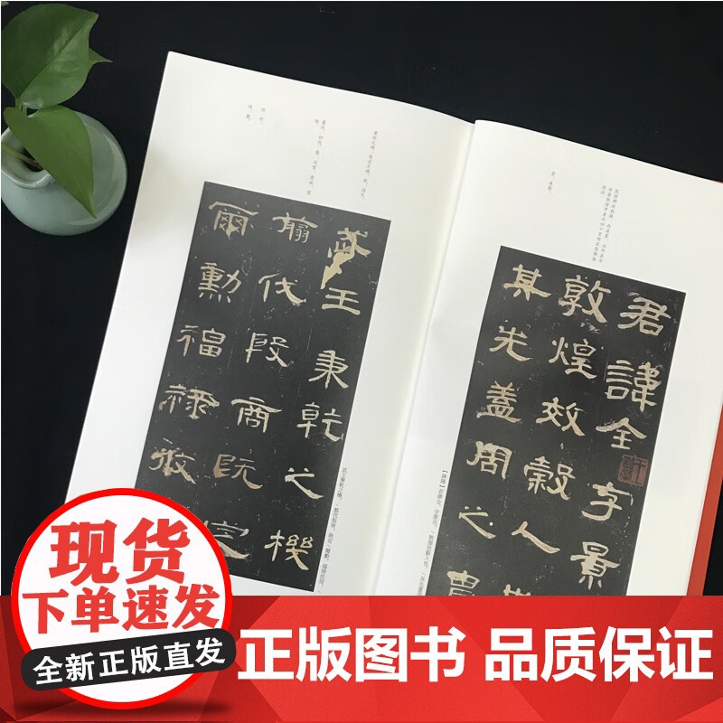 正版 曹全碑 中国碑帖名品17 释文注释繁体旁注隶书毛笔书法字帖临摹技法练习字帖碑帖古帖碑帖明代拓本 上海书画出版社高清大图