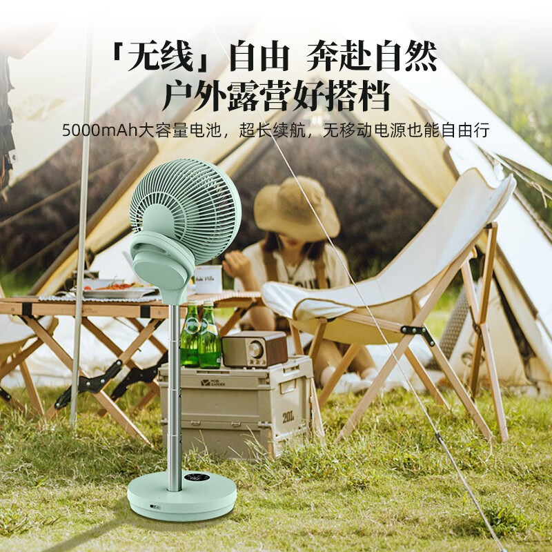 亚都(YADU)空气循环扇 电风扇 落地扇 直流变频定时轻音节能遥控 负离子 可充电家用台地两用YD-FXL36D高清大图