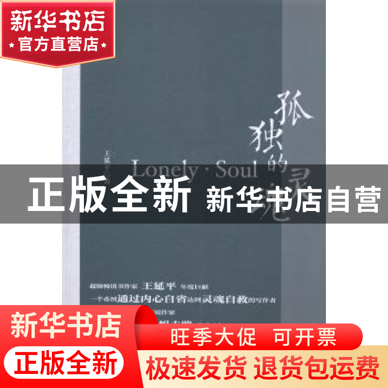 正版 孤独的灵魂 王延平著 中国财富出版社 9787504749833 书籍
