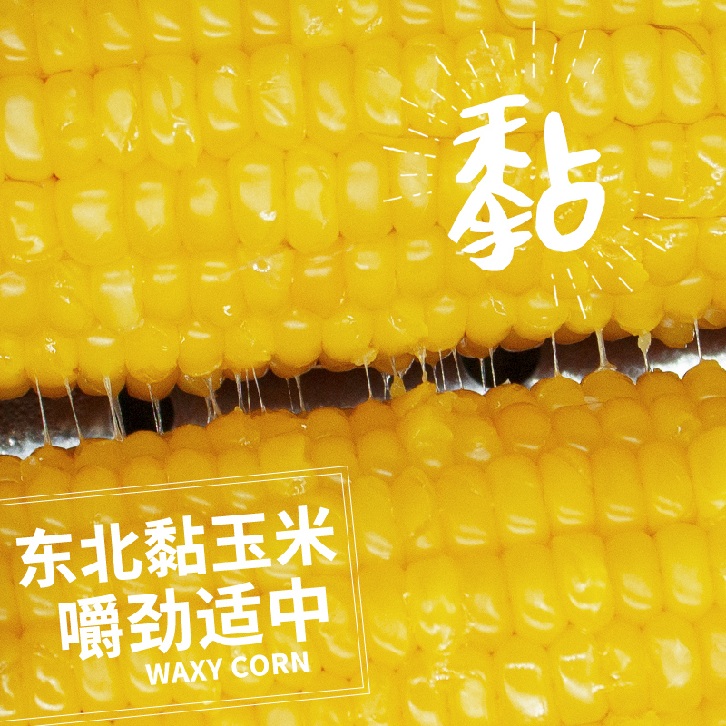 农得客博斯糯9号东北新鲜黄糯玉米200g*5根