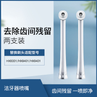 飞利浦(Philips)冲牙器通用清洁喷嘴HX8032/05灰色 2支装 适配HX8331/HX8401/HX8431