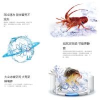 海尔（Haier） 328升双门风冷无霜双变频冰箱大容量电脑控温节能静音电冰箱 BCD-328WDPT