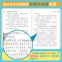 木偶奇遇记稻草人儿童注音版小学生三年级故事书一年级课外阅读书 /绿野/单本/注音