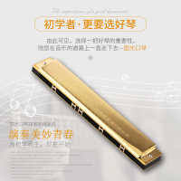 上海老品牌国光28孔C调复音重音高级口琴初学宽音域口琴演奏乐器