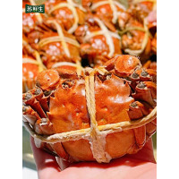 【鲜活大闸蟹】苏鲜生 苏宁甄选大闸蟹 公5两 母4两 8只