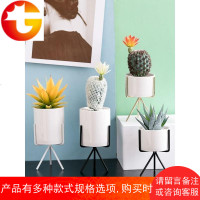 小盆栽仙人掌多肉仿真植物装饰摆件假花北欧室内客厅桌面绿植摆设